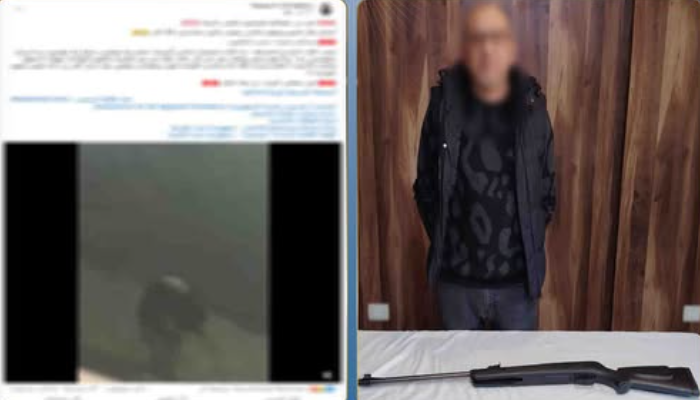 أطلق النار على الكلاب الضالة.. الأمن يكشف ملابسات فيديو مدينة نصر